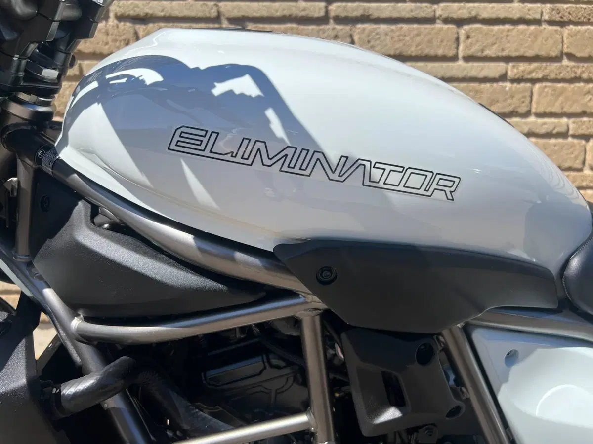 Kawasaki Eliminator 500 (2024 - 26) (9)