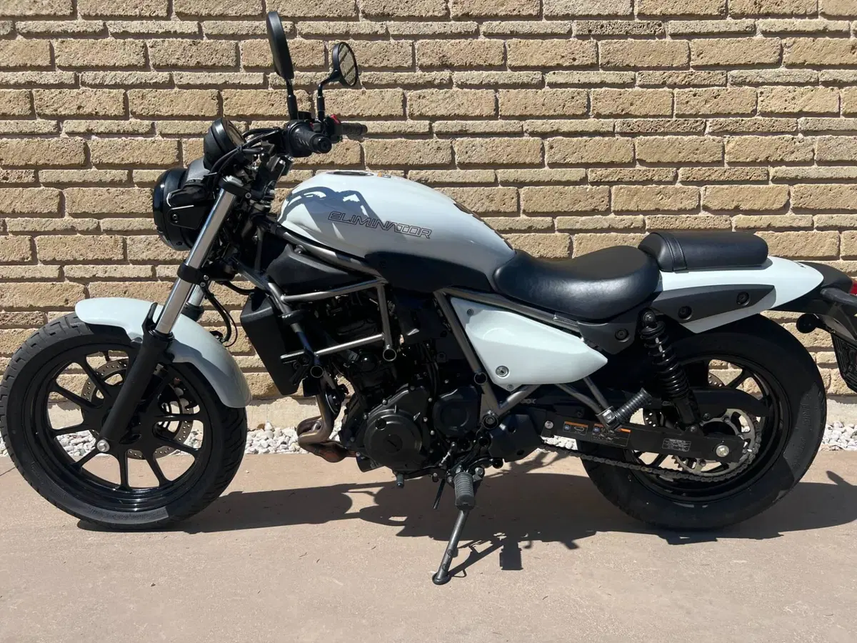 Kawasaki Eliminator 500 (2024 - 26) (10)