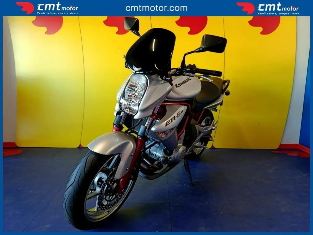 Kawasaki ER-6N (2005 - 08) (2)