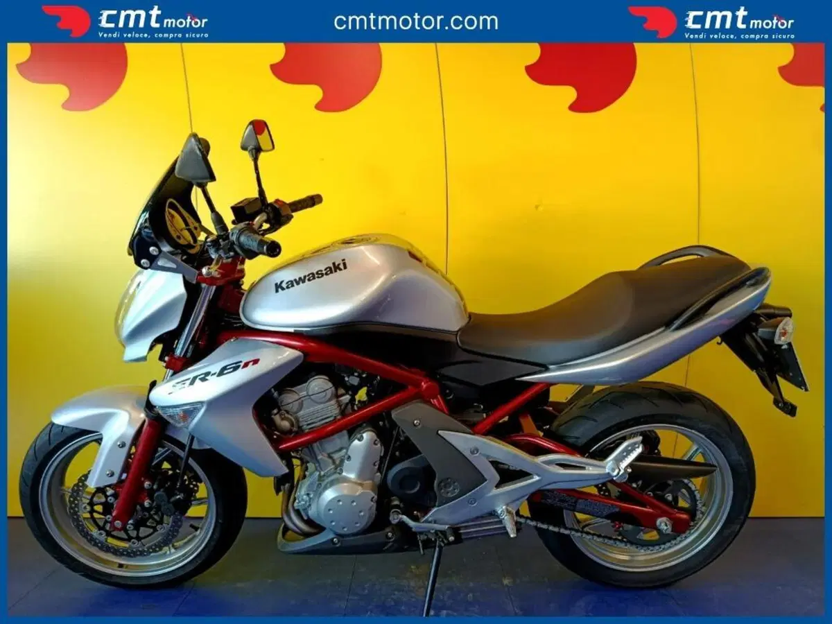 Kawasaki ER-6N (2005 - 08) (3)