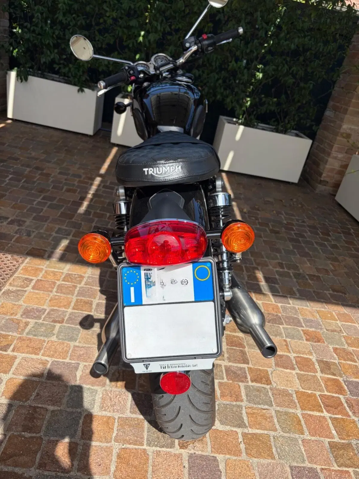 Triumph Bonneville T100 (2021 - 25) (4)