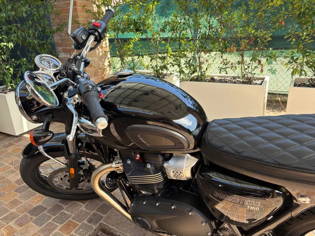 Triumph Bonneville T100 (2021 - 25) (5)