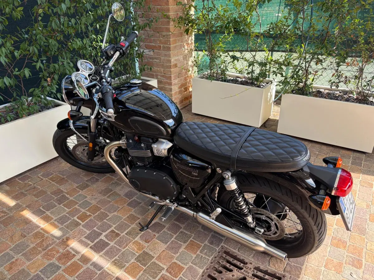 Triumph Bonneville T100 (2021 - 25) (6)