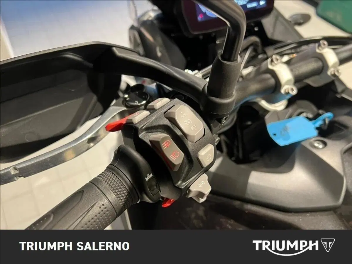 Triumph Tiger 900 Rally Pro (2024 - 26) (9)