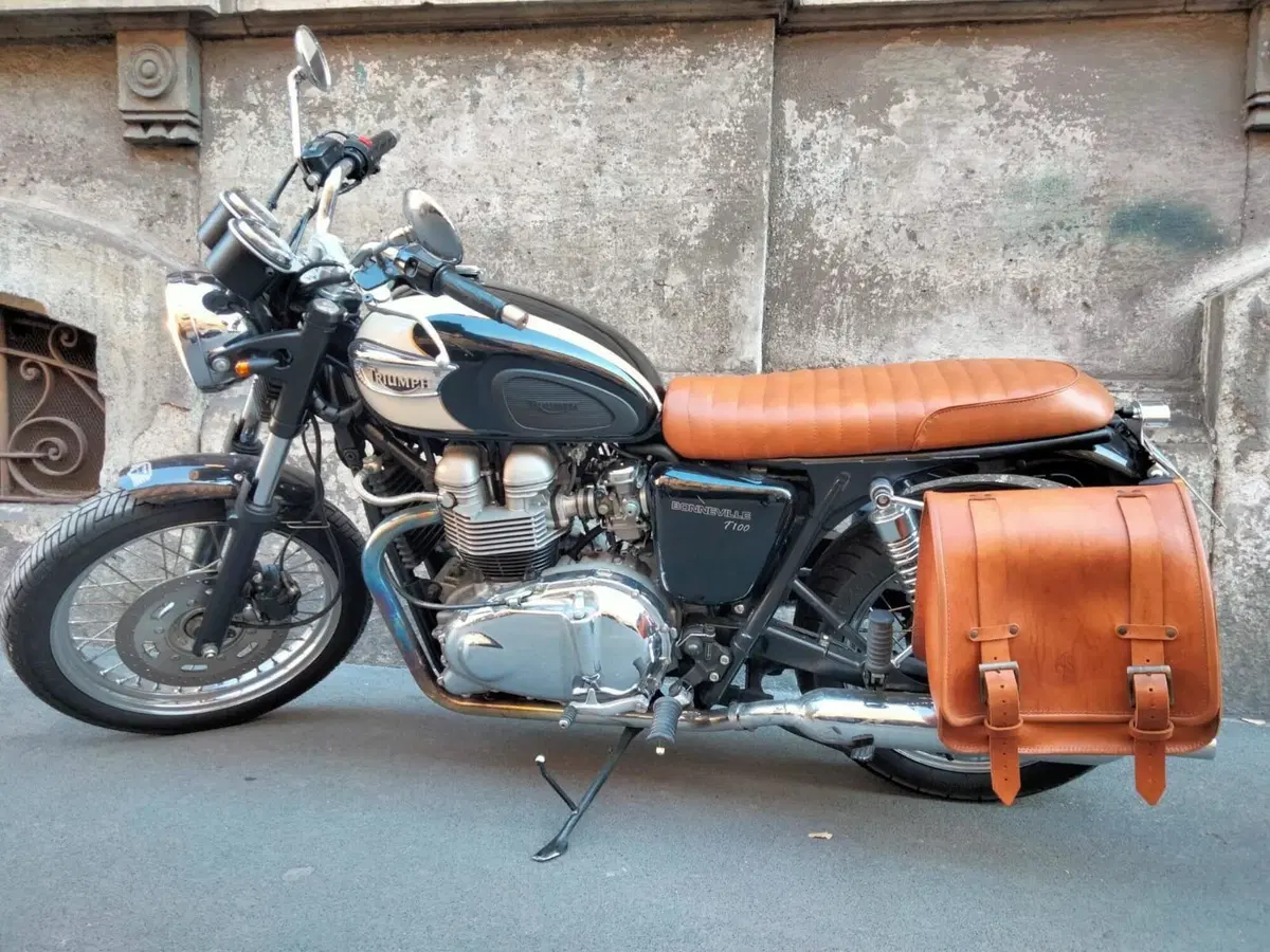 Triumph Bonneville T100 (2001 - 07) (2)