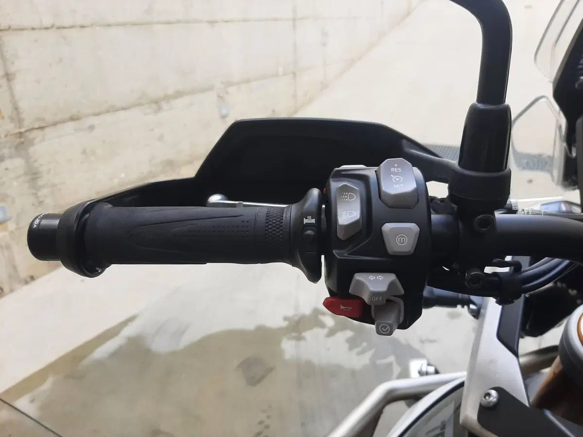 Triumph Tiger 900 Rally Pro (2020 - 23) (9)