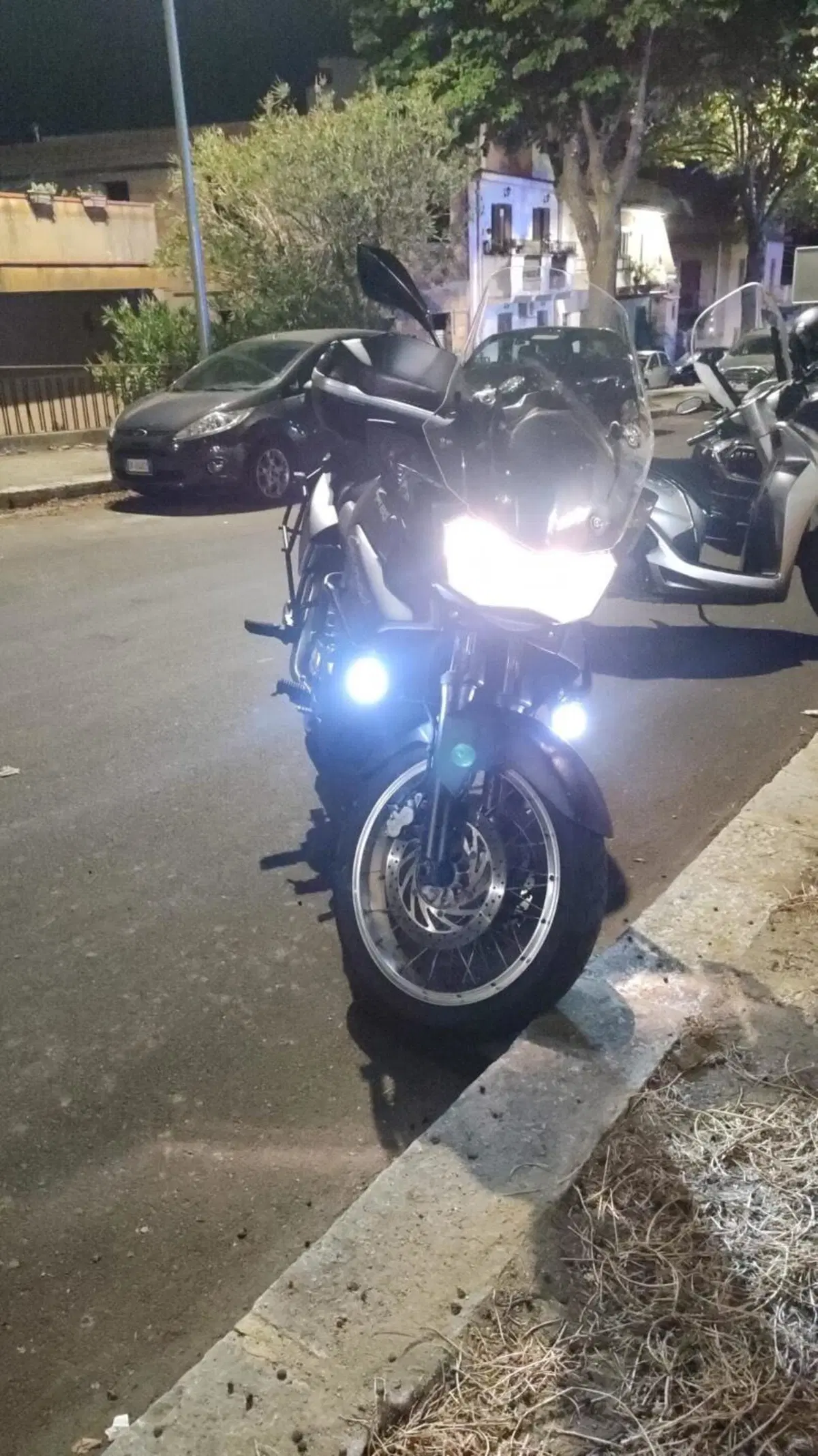 Aprilia Caponord ETV 1000 (2001 - 04) (4)