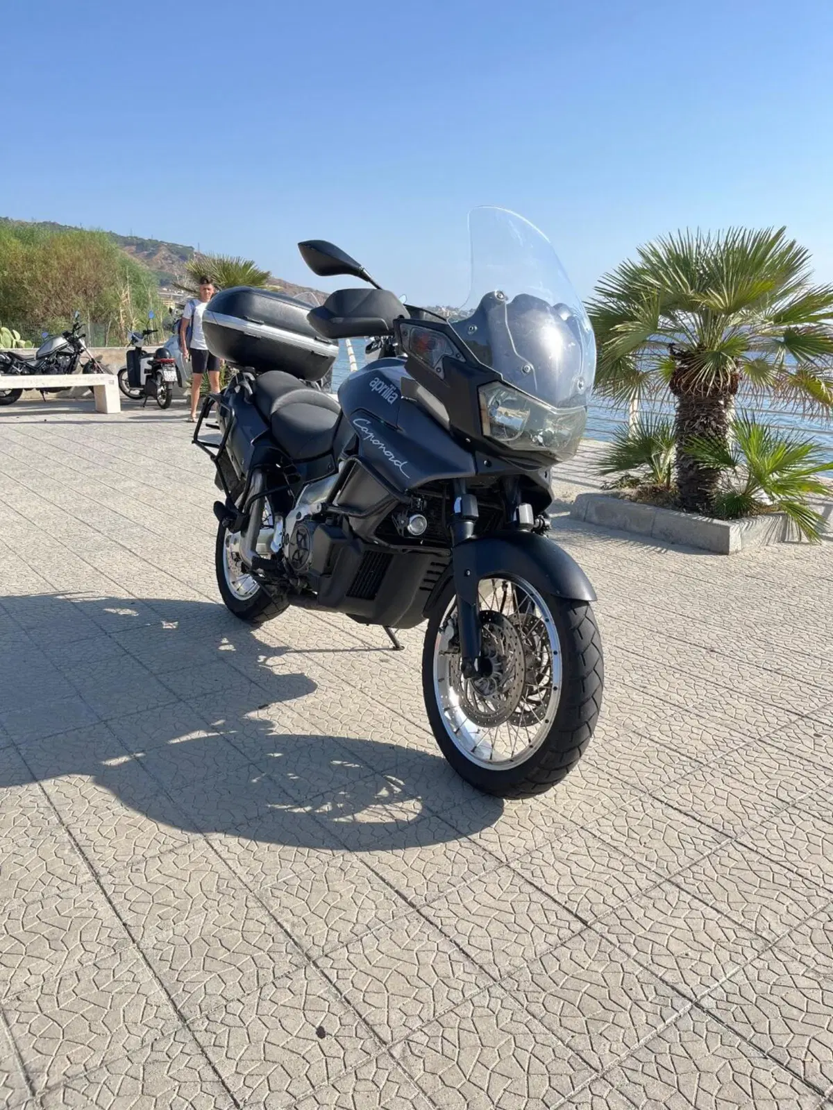 Aprilia Caponord ETV 1000 (2001 - 04) (8)