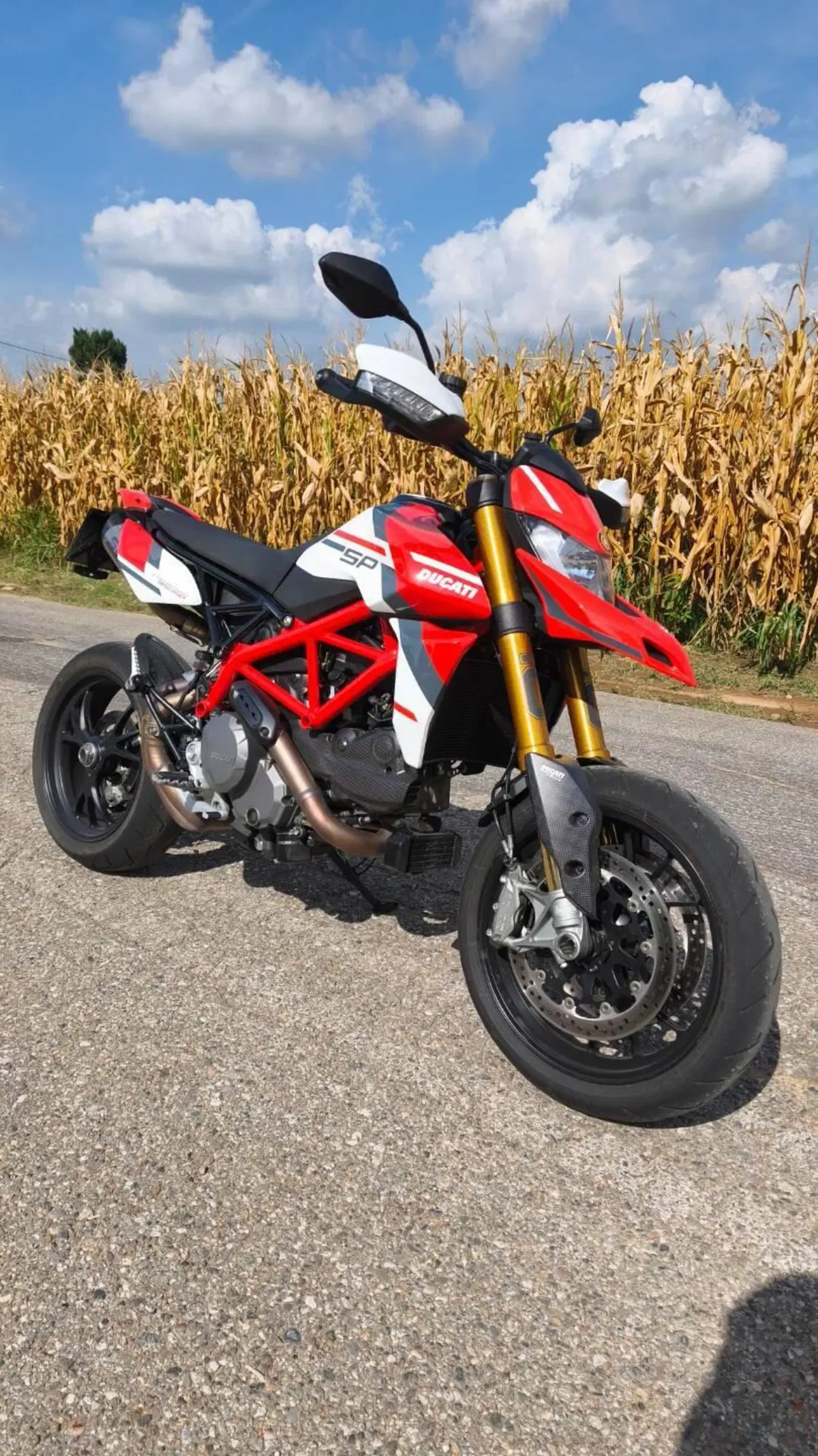 Ducati Hypermotard 950 SP (2022 - 25) (2)