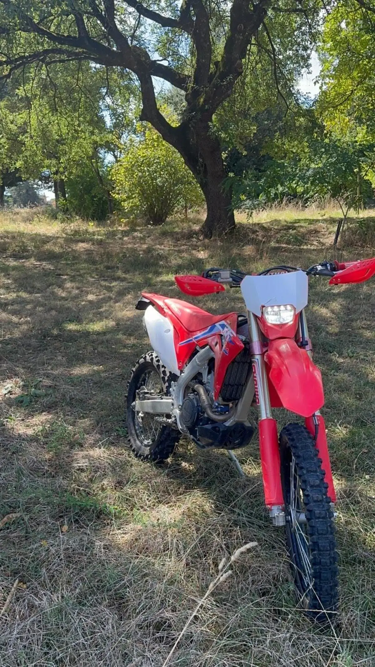 Honda CRF 250RX Enduro (2020) (2)