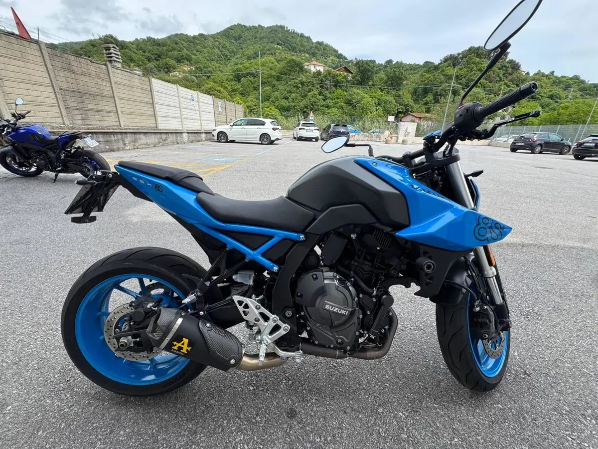 Suzuki GSX-8S (2023 - 24) (3)