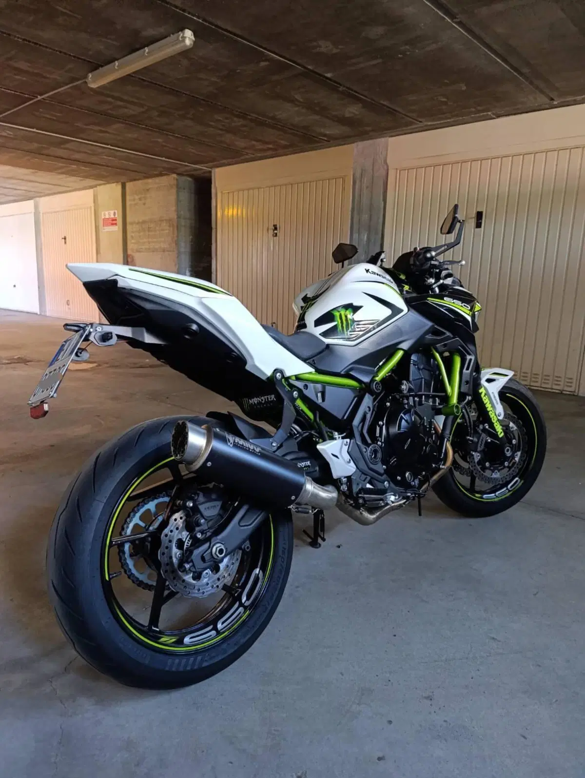 Kawasaki Z 650 (2021 - 24) (2)