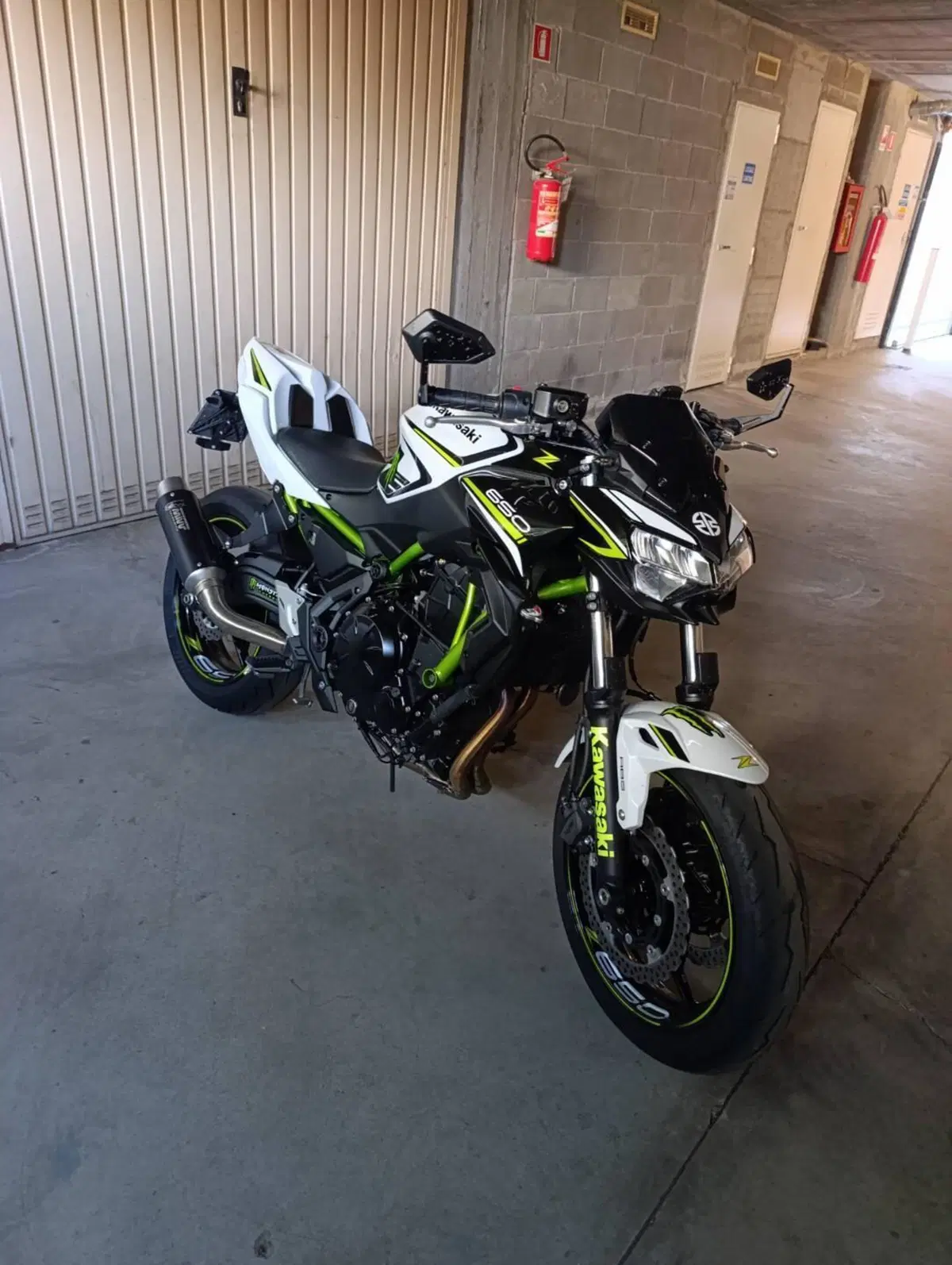 Kawasaki Z 650 (2021 - 24) (6)