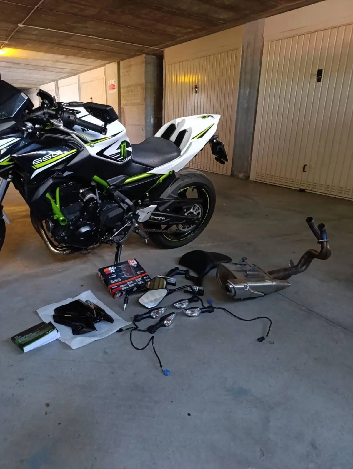 Kawasaki Z 650 (2021 - 24) (8)