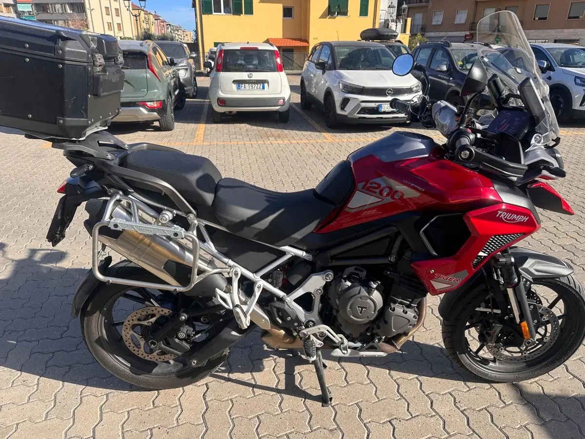 Triumph Tiger 1200 GT Pro (2024 - 26) (3)