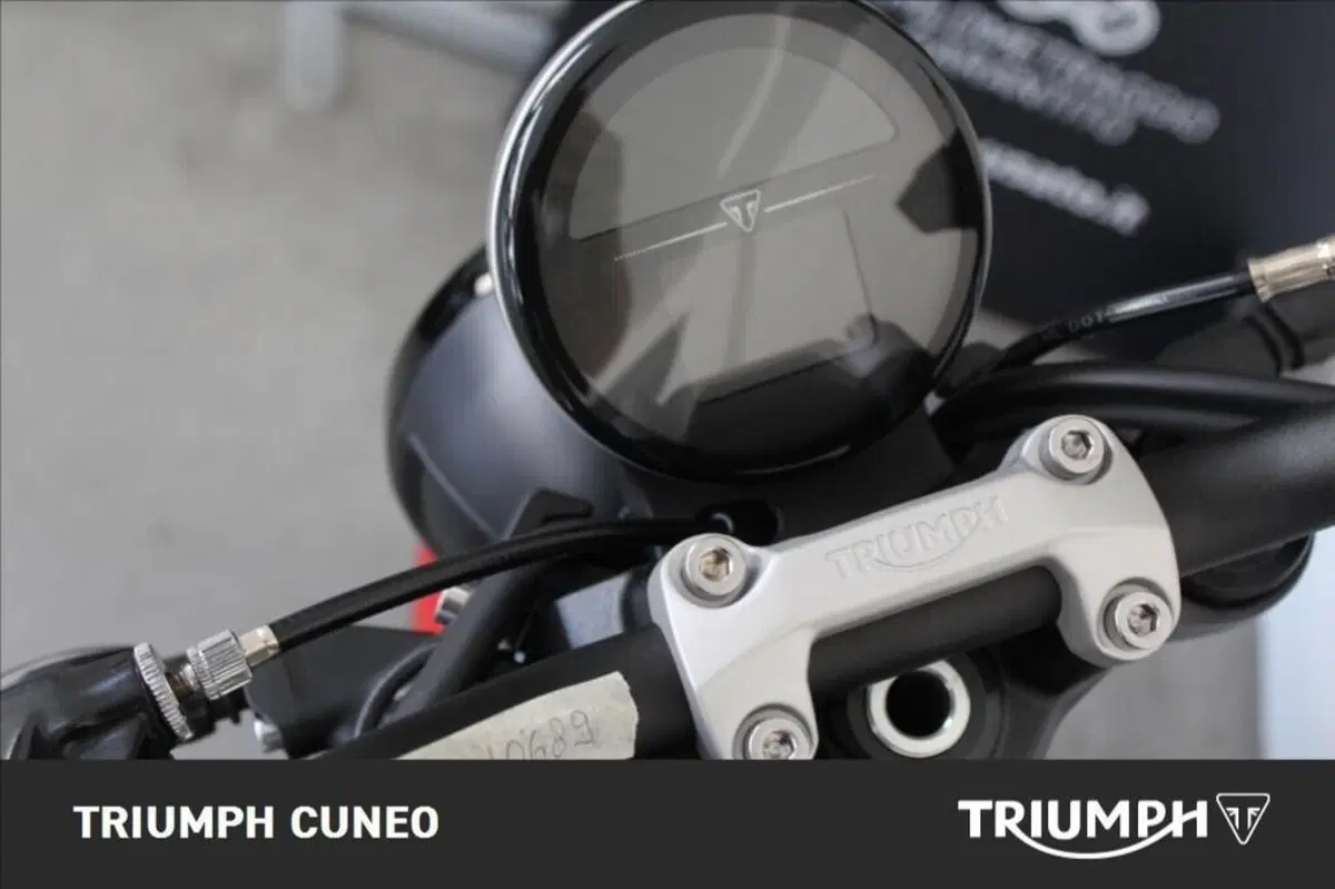 Triumph Trident 660 (2021 - 24) (7)