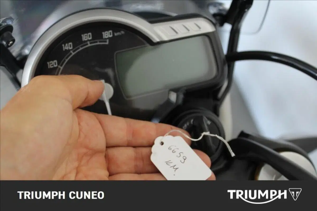 Triumph Scrambler 400 X (2024 - 26) (7)