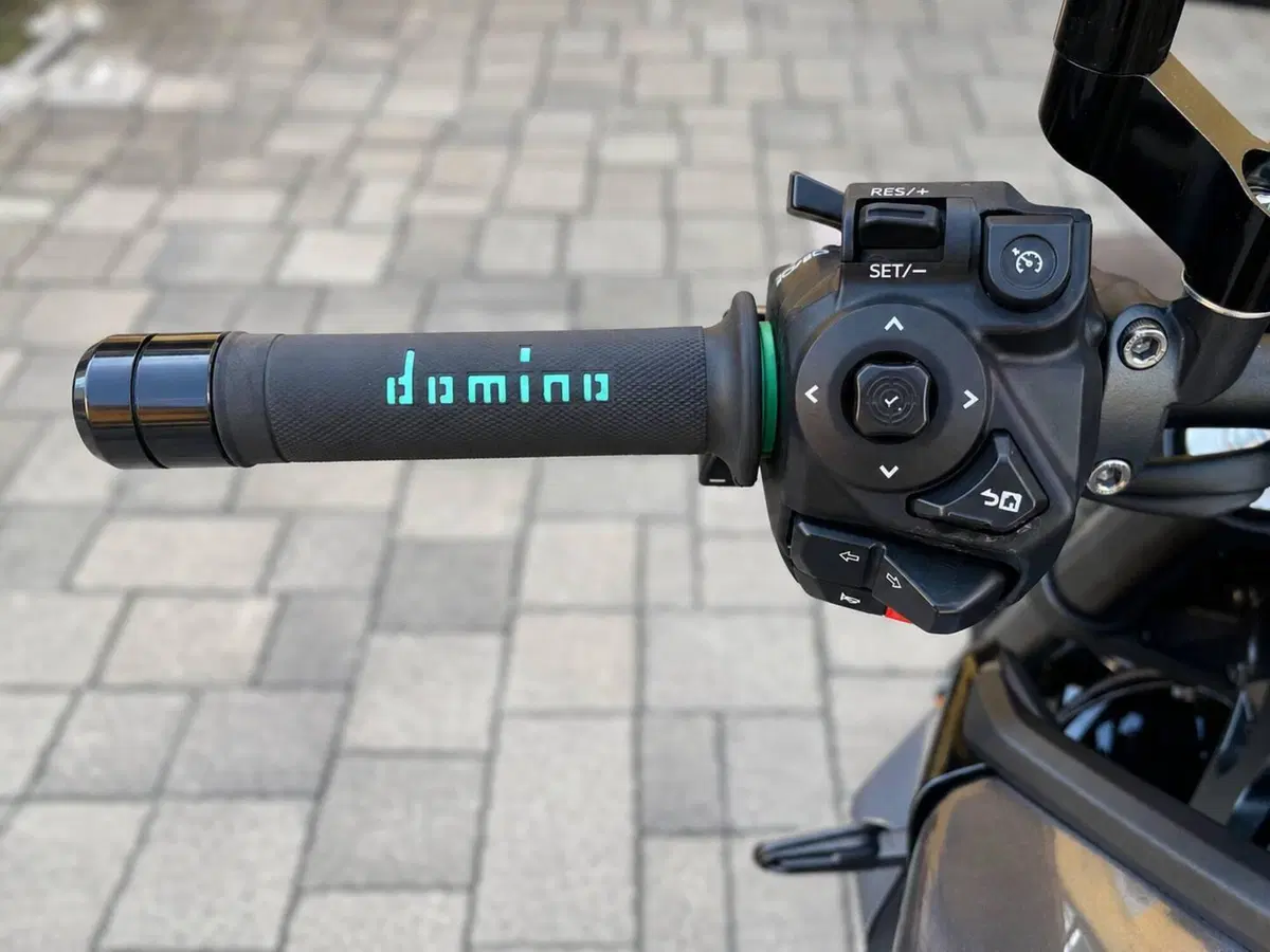 Yamaha MT-09 Y-AMT (2024 - 26) (5)
