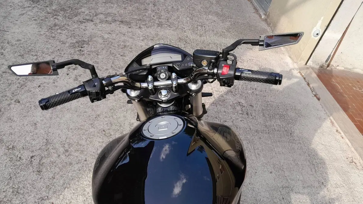 Honda Hornet 600 (2011 - 13) (5)
