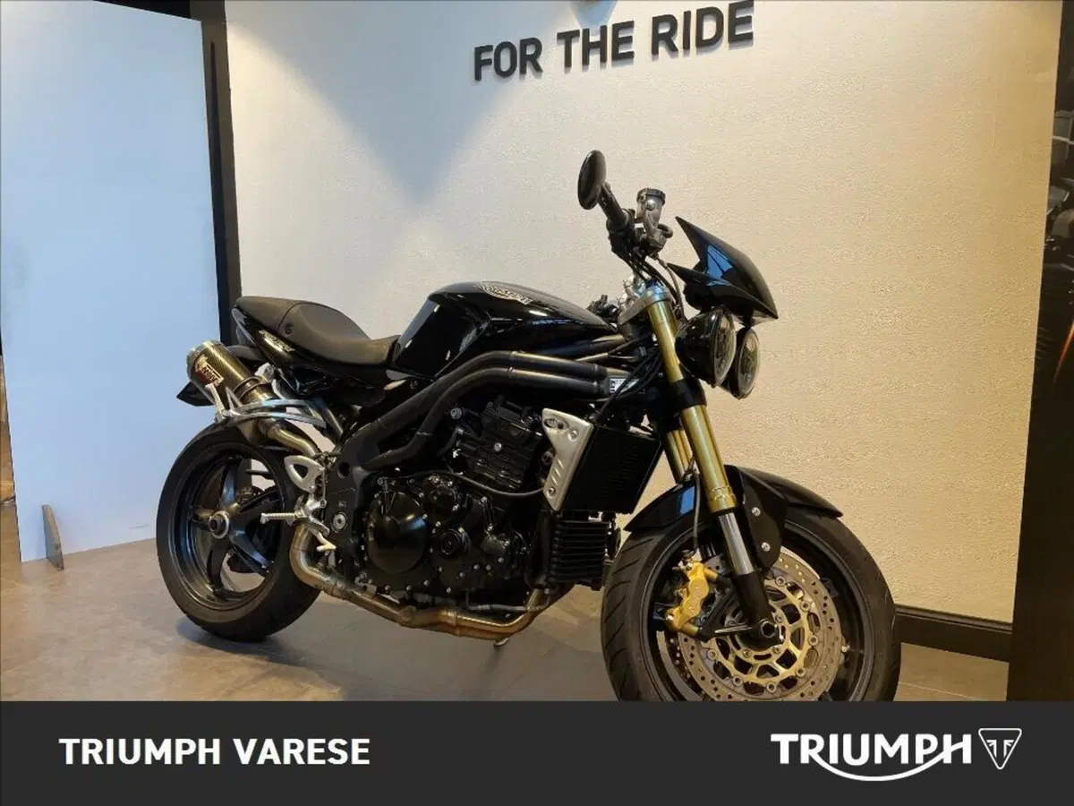Triumph Speed Triple 1050 (2005 - 11) (3)