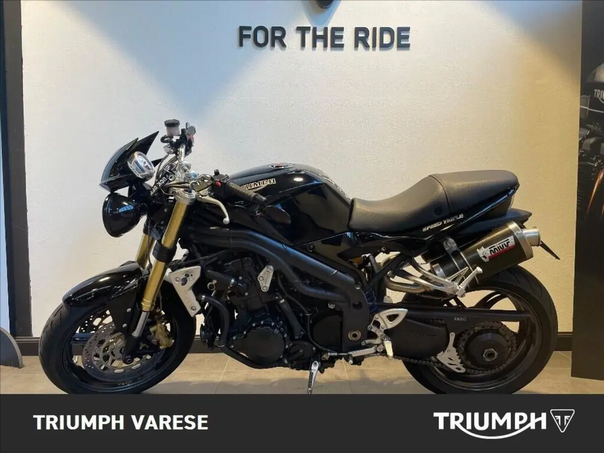 Triumph Speed Triple 1050 (2005 - 11) (2)