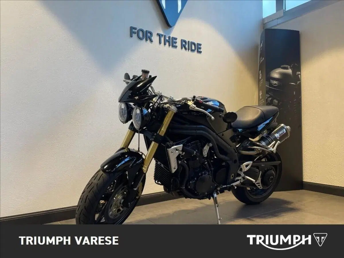Triumph Speed Triple 1050 (2005 - 11) (4)