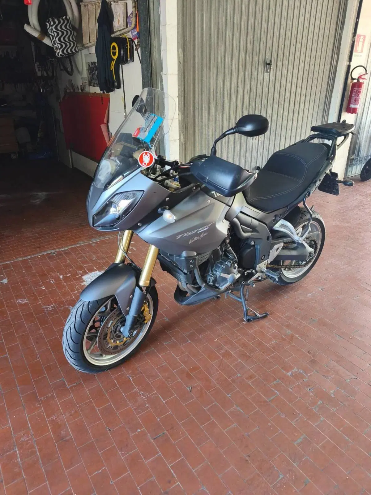 Triumph Tiger 1050 SE ABS (2006 - 13)