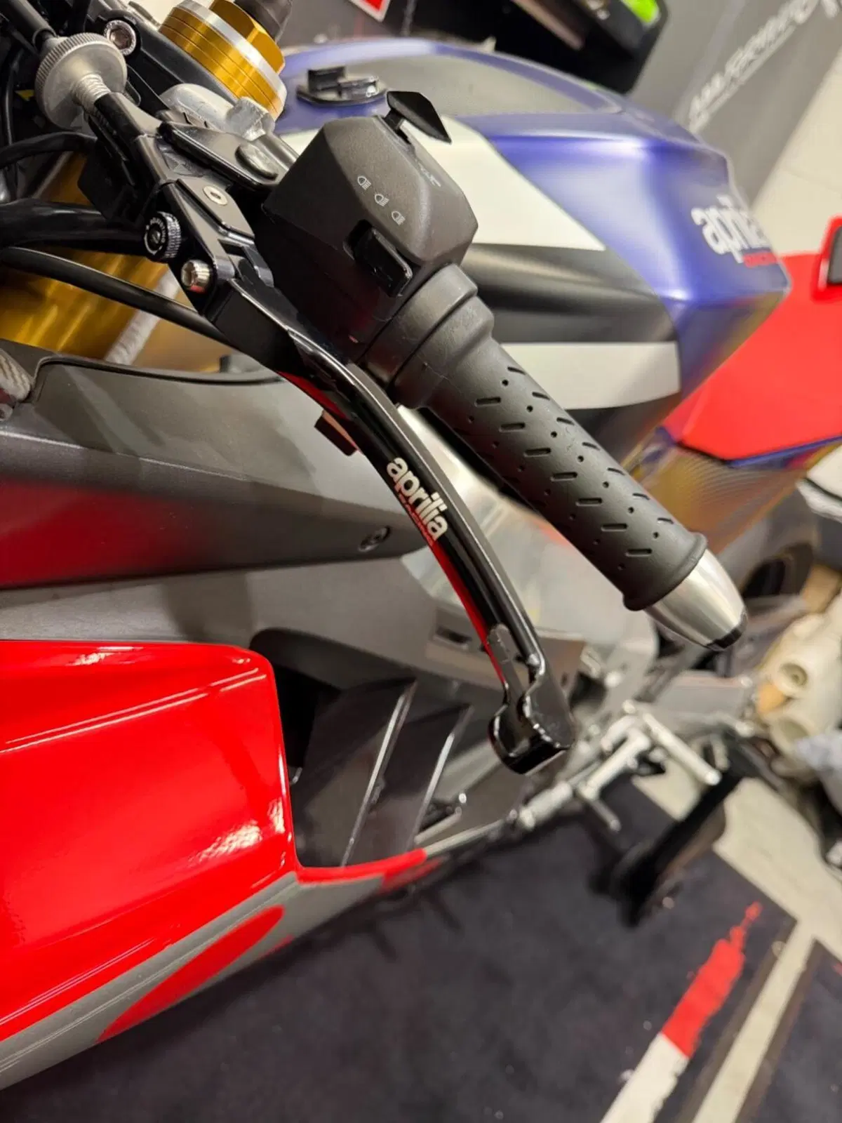Aprilia RSV4 1100 Factory (2021 - 24) (10)