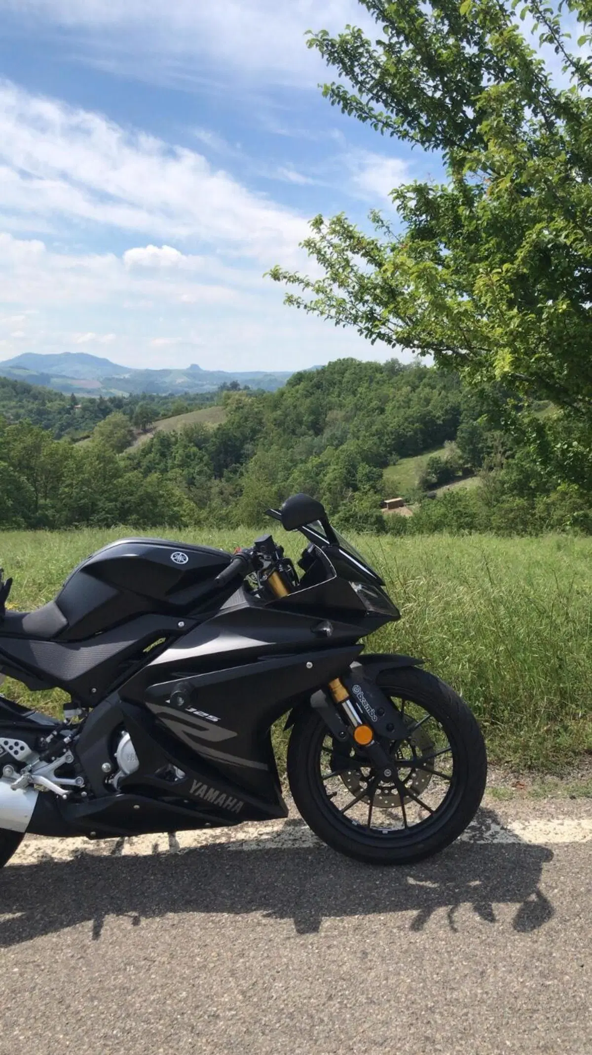 Yamaha YZF R125 (2017 - 18) (3)