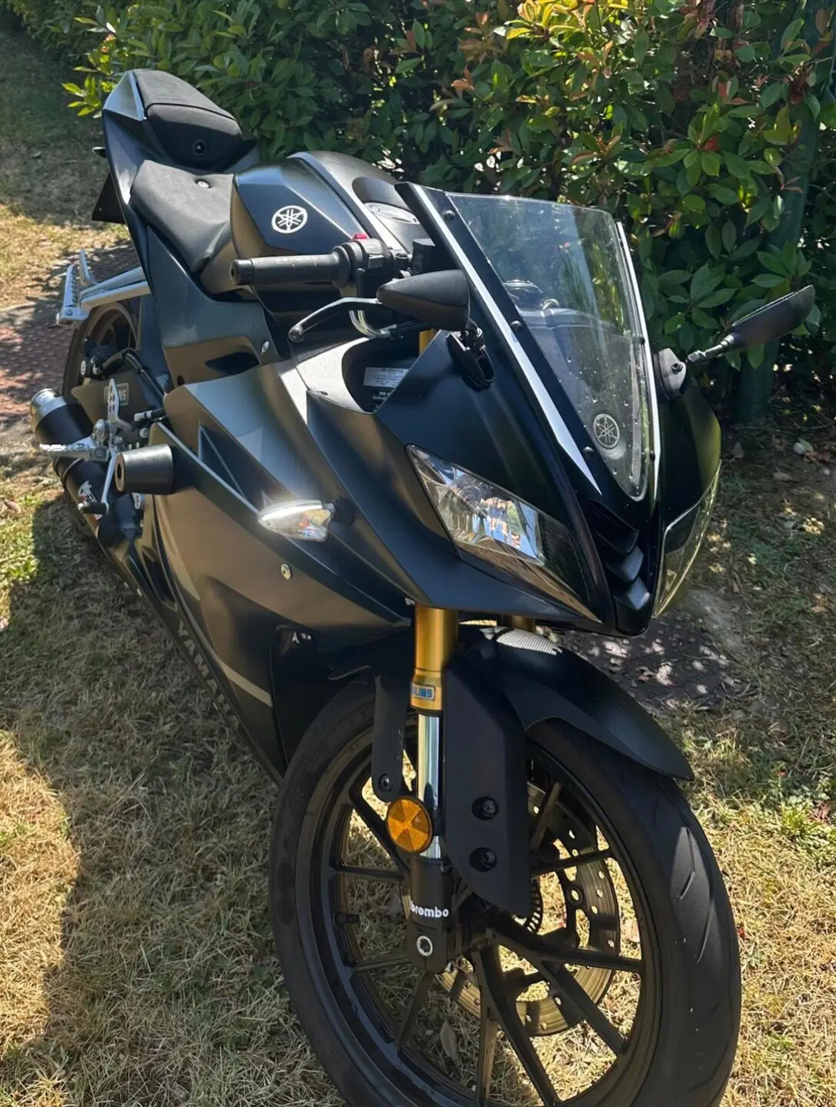 Yamaha YZF R125 (2017 - 18) (7)