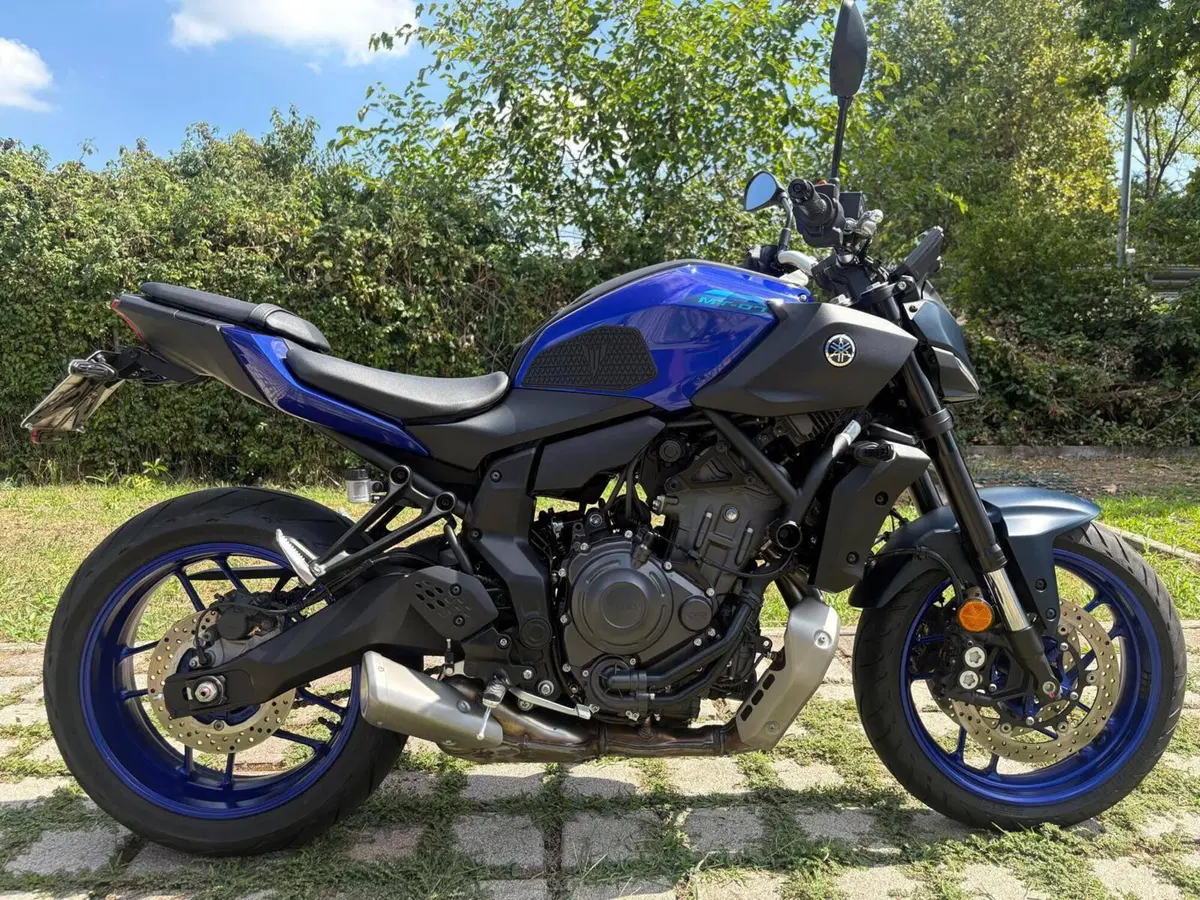 Yamaha MT-07 (2025 - 26)