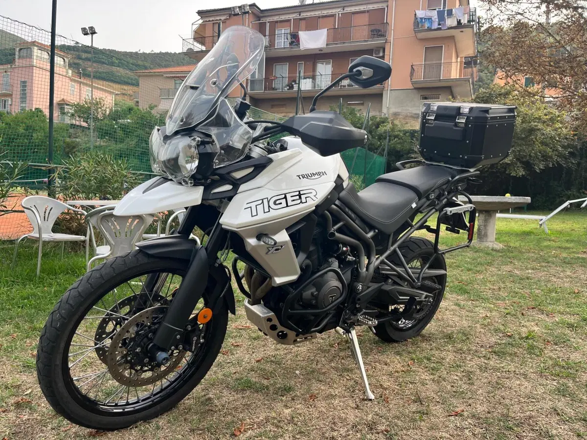 Triumph Tiger 800 XCx (2018 - 20) (2)