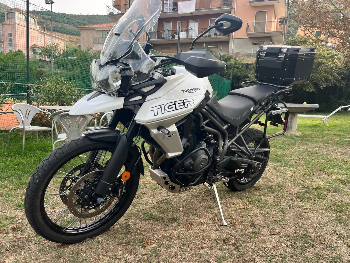Triumph Tiger 800 XCx (2018 - 20) (3)
