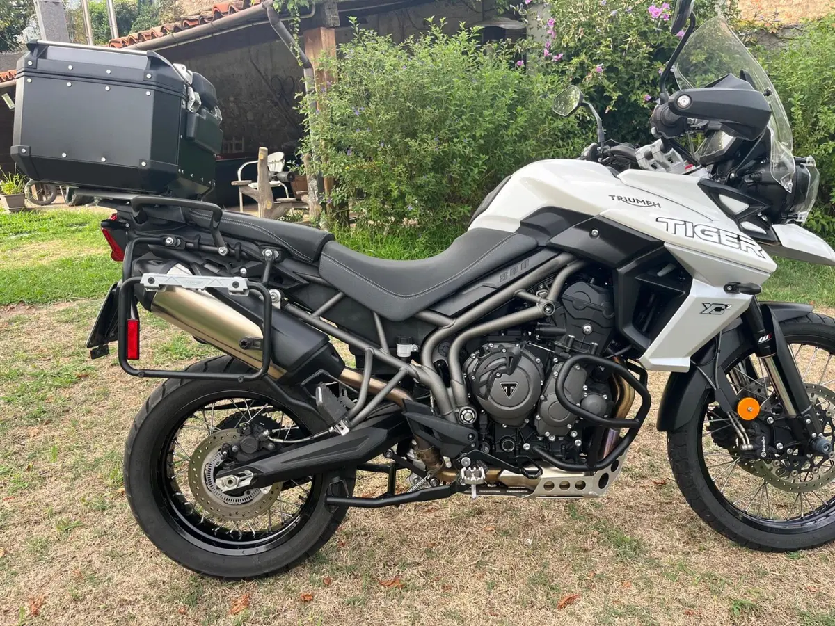 Triumph Tiger 800 XCx (2018 - 20) (4)