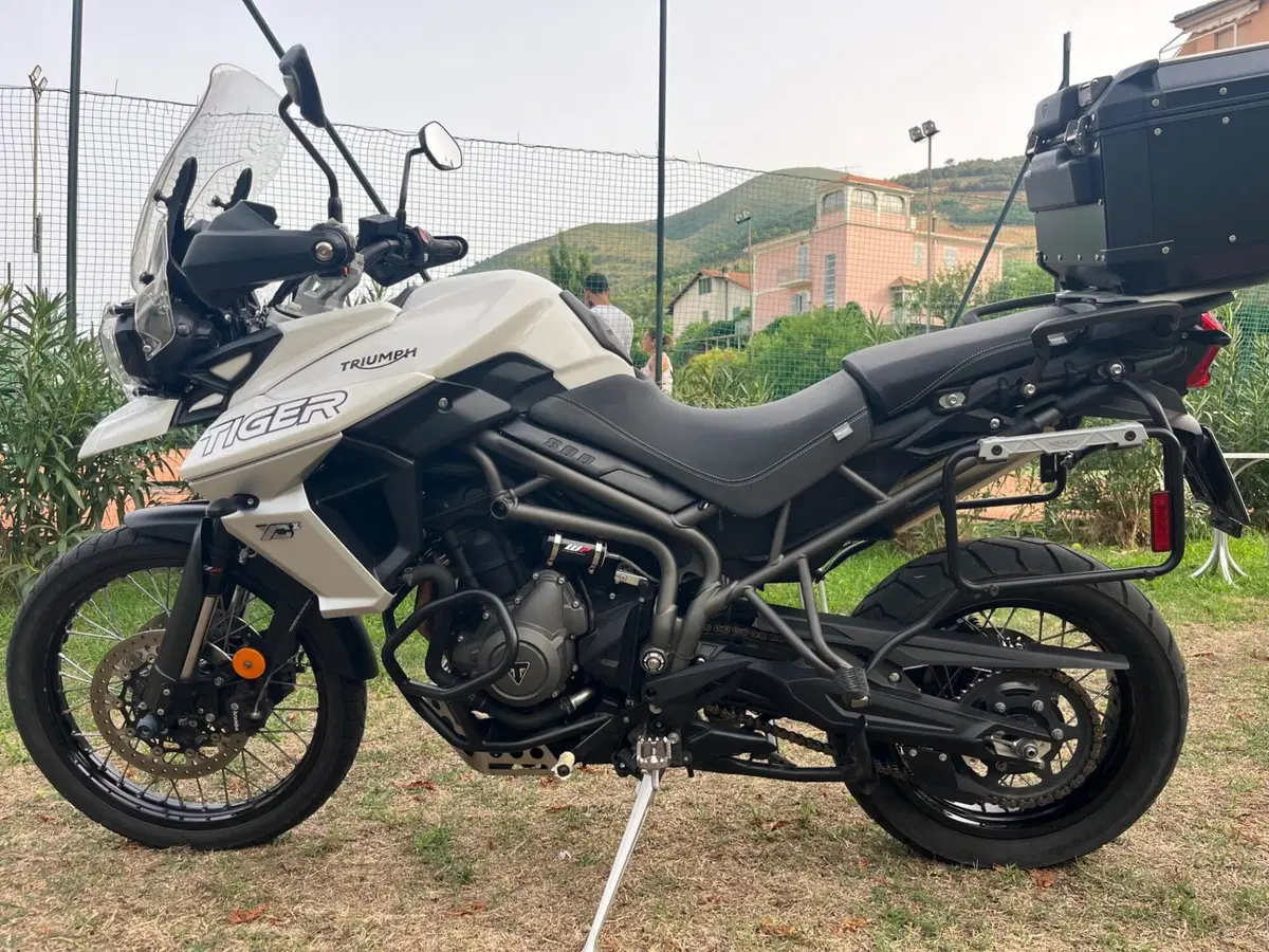 Triumph Tiger 800 XCx (2018 - 20) (5)