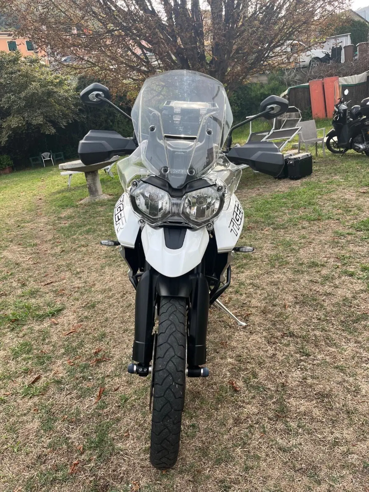 Triumph Tiger 800 XCx (2018 - 20) (6)