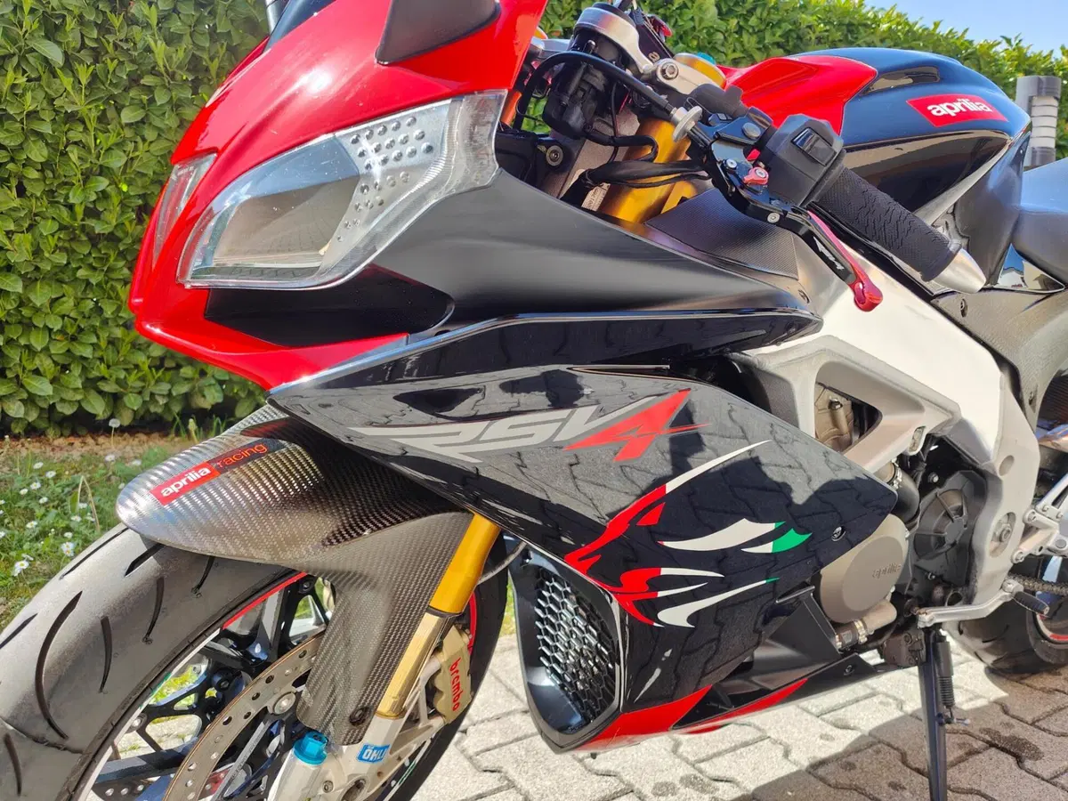 Aprilia RSV4 Factory (2009 - 12) (3)