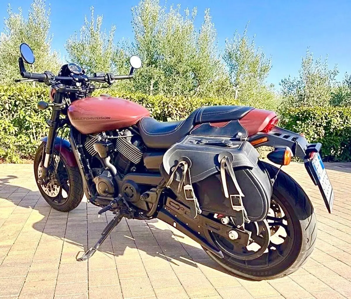 Harley-Davidson 750 Street Rod (2017 - 20) - XG 750 (3)