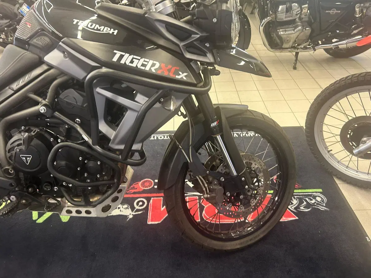 Triumph Tiger 800 XCx (2015 - 17) (14)