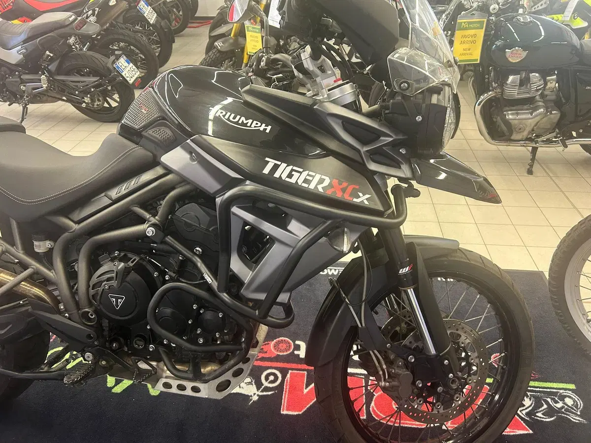 Triumph Tiger 800 XCx (2015 - 17) (15)