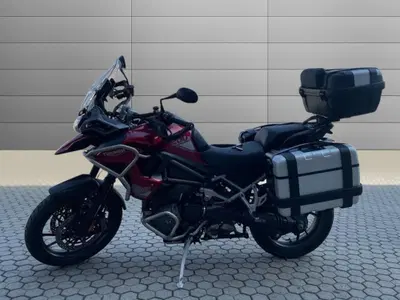 Triumph Tiger 1200 GT Pro (2024 - 26) usata