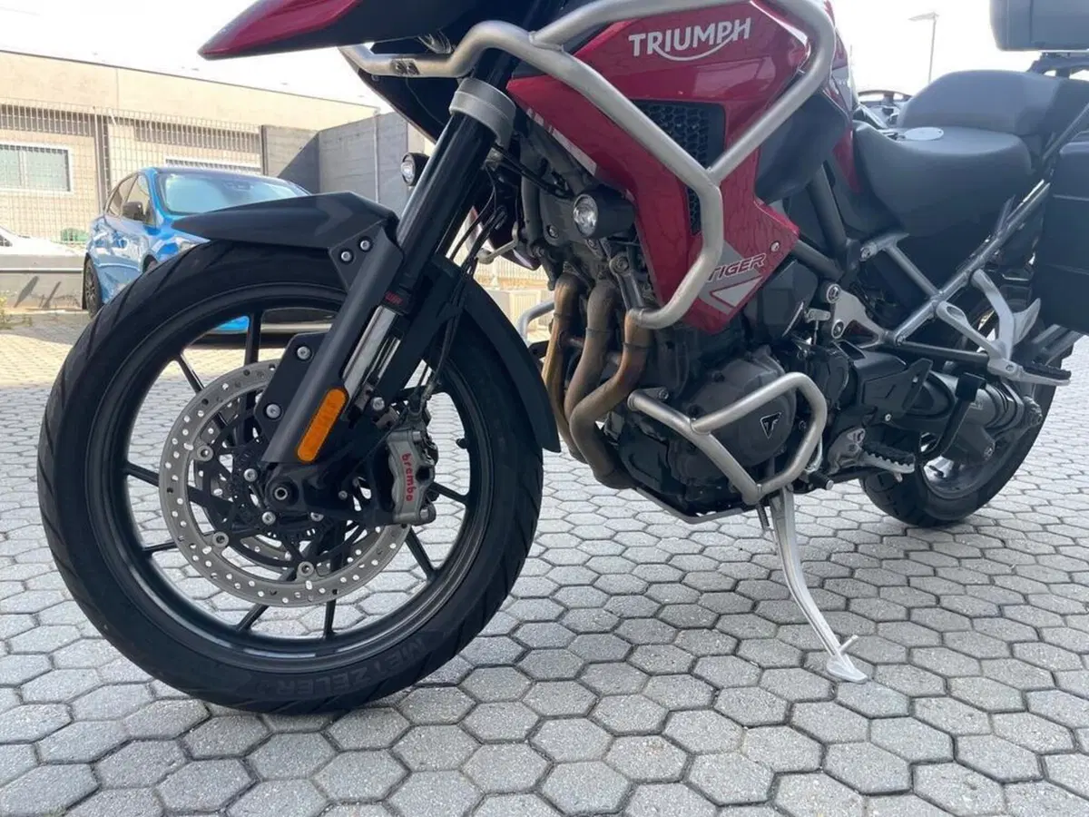 Triumph Tiger 1200 GT Pro (2024 - 26) (4)