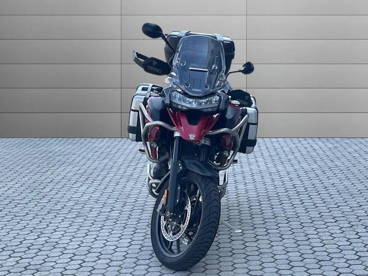 Triumph Tiger 1200 GT Pro (2024 - 26) (3)