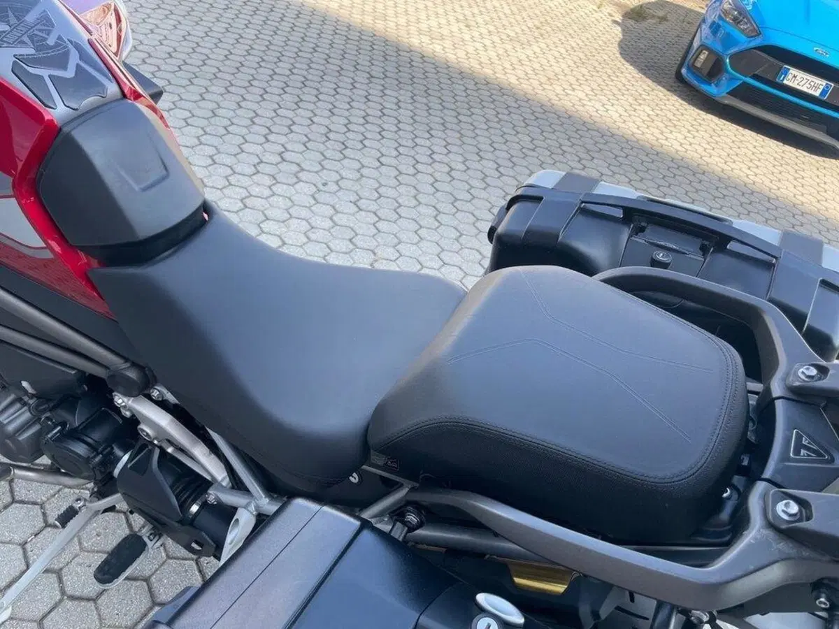 Triumph Tiger 1200 GT Pro (2024 - 26) (5)