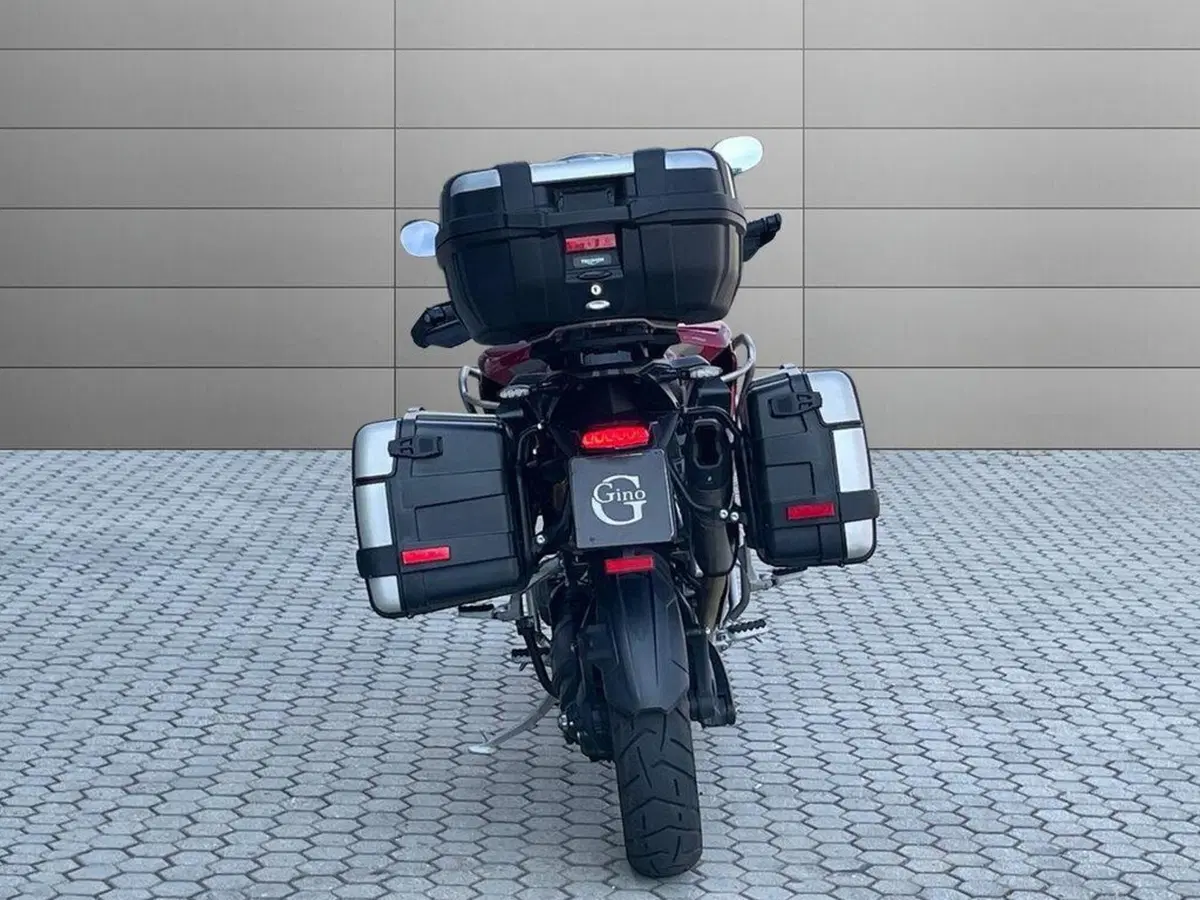 Triumph Tiger 1200 GT Pro (2024 - 26) (7)