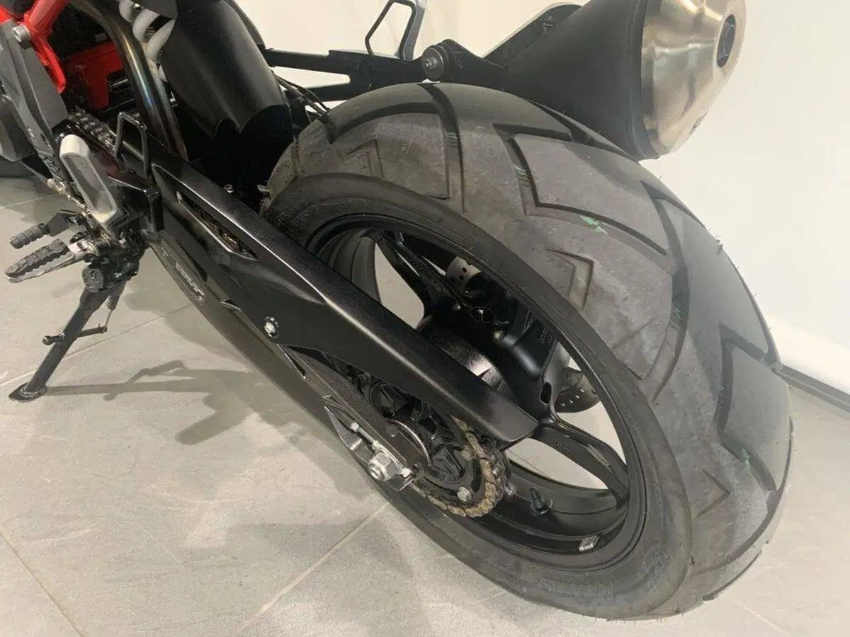 Bmw G 310 GS (2021 - 25) (6)