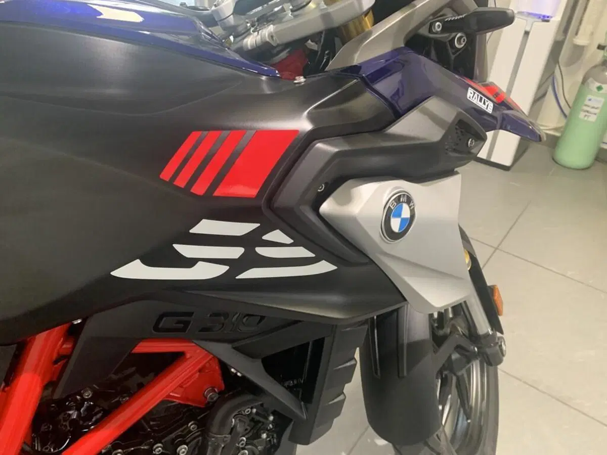 Bmw G 310 GS (2021 - 25) (10)