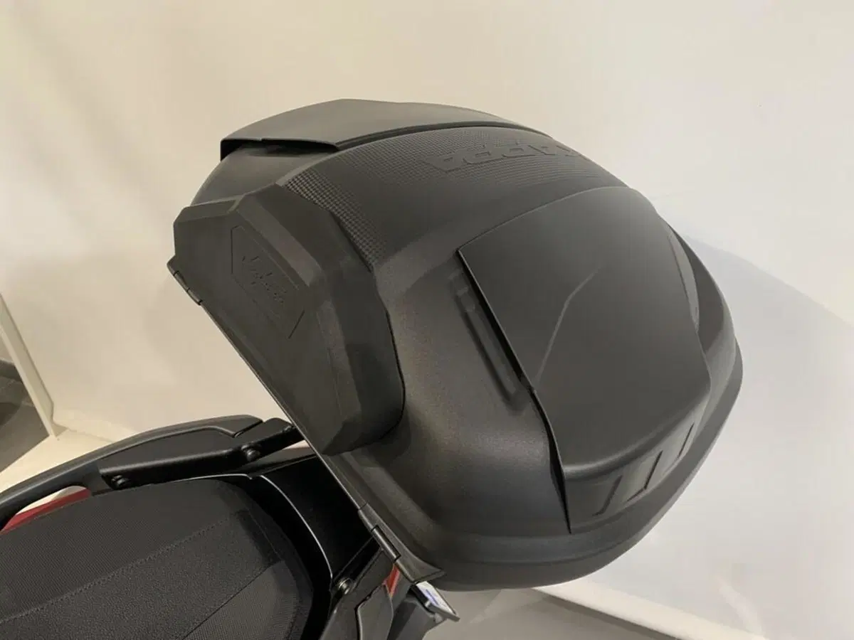 Honda Forza 350 (2022 - 24) (8)