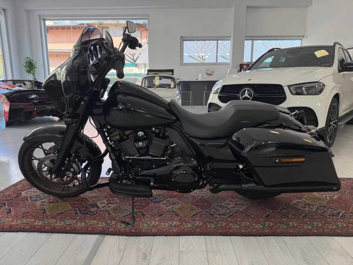 Harley-Davidson Street Glide ST (2022 - 23) (3)