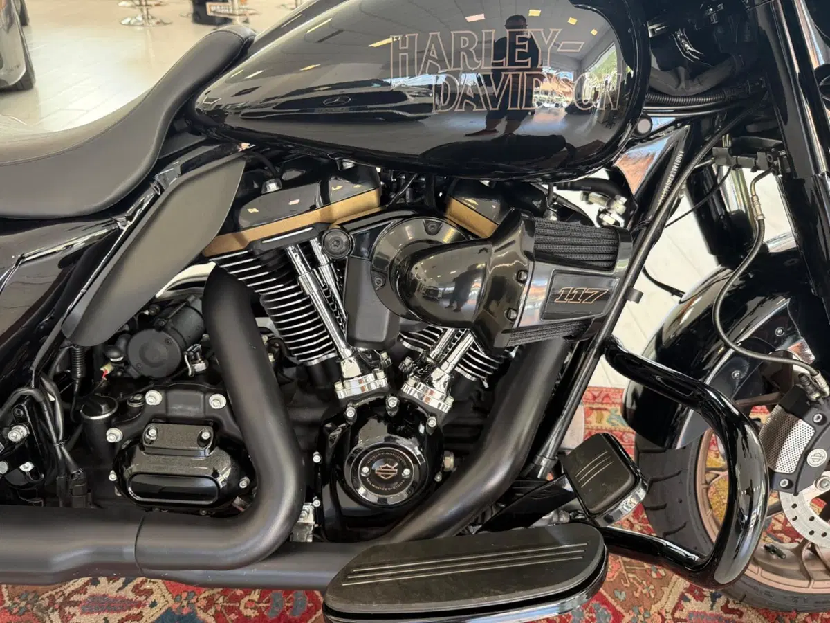 Harley-Davidson Street Glide ST (2022 - 23) (6)